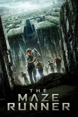 The Maze Runner free movies